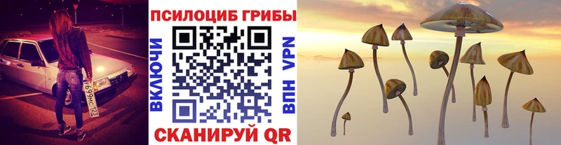 Купить  Покачи  Псилоцибиновые грибы прущие грибы 